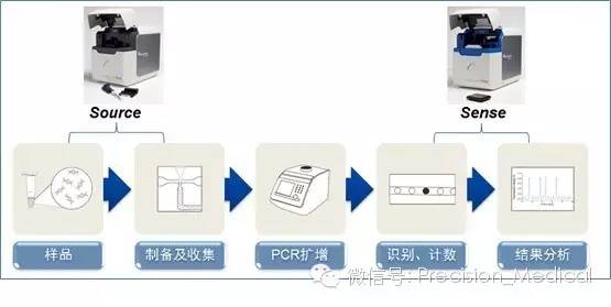 基因突變檢測技術 原理、應用與未來展望
