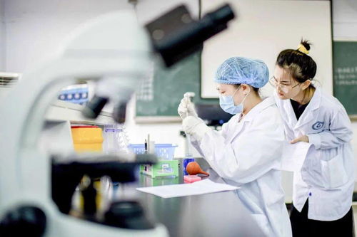 醫學檢驗技術 連接臨床與研發的創新橋梁